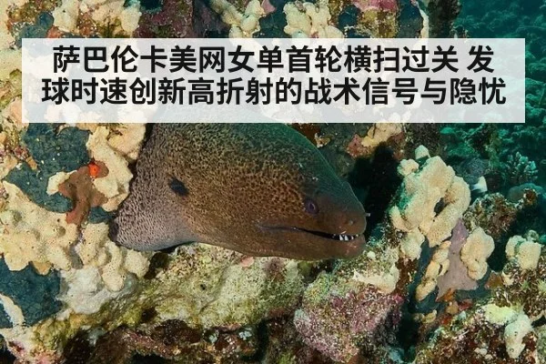 萨巴伦卡美网女单首轮横扫过关 发球时速创新高折射的战术信号与隐忧